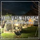 꽃지통나무펜션 이미지