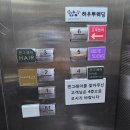 지정17 | [W.17] 브라이드영 본식 드레스 피팅 후기✨(지정 혜택)