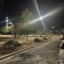 337치킨 | 호주 워홀+335-337 시드니 화덕피자, 마라탕, 본다이비치 아이스버그수영장