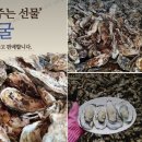 전일수산 티스토리