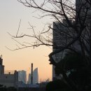 싱싱과일죽성점 | 20년 2월