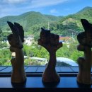 우체국 이팝나무 이미지