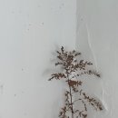반한나스튜디오 이미지