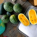 복날 복수박 잡아요 수박 드시러 오세요~♡ 이미지