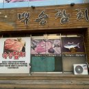 백승참치 이미지