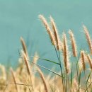 미림펜션 이미지