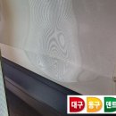 덴트LEE