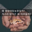 왜 <b>평창</b><b>태동</b><b>농원</b>일까? 개구리 양식은 왜 어려울까?