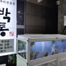 박통숯불구이 이미지