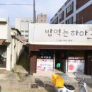밥먹는하마 네이버블로그