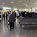 논현천사약국 | [시험관] PGT-M ｜ 14.시험관 2차 - 과배란 시작