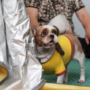 오량축산 이미지