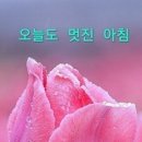 認知不調和(인지부조화) 이미지