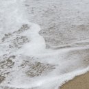사근진엔