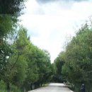 샹그리라 이미지