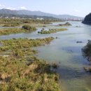 우두동 자전거도로 이미지