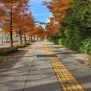 셀파우등생교실 | 학습생 모집! 수학 부족, 학원 경험 없어도 1:1 맞춤관리/T클래스 송도 퍼스트파크 교실(셀파우등생교실)