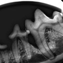 이솜동물병원 이미지