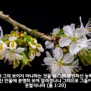 [성경필사] 예수님 그의 희생 기억할 때 _ 2024.03.28 _ 목요일에 주신 말씀 이미지