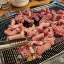 군산 팔팔산꼼장어 산꼼장어, 민물장어 산북동 맛집 추천쓰