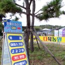 속초다육