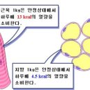 싸피엔스짐 이미지