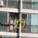 아파트 베란다 시한폭탄.jpg 이미지