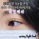 은평구 구파발 속눈썹 봄빛래쉬 오래 지속 가능한 속눈썹연장