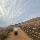 십리포 서쪽 공중화장실 | [제주 서쪽 2박3일 여행 - 4탄 (Day1)] 제주도 새별오름 등반 후기