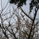 교리근린공원 Daum카페