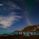 서진식당 이미지
