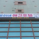 로이네 애견호텔 이미지