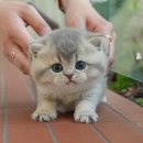 송이로14길 이미지