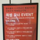 갤러웨이스크린골프