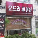 에스테틱 더 오드리 이미지