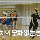 독스 윙스 티스토리