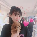 유하픽 이미지