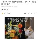 “마라도 고양이 돌보는 고양이도서관”.. 멸종위기종은? 이미지