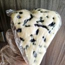 속초막걸리술빵술빵 | 속초 중앙시장 강원도 막걸리 술빵 후기