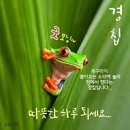 오늘은 세번째 절기"경칩(驚蟄)"[2024년 3월 5일(음: 1월 25일)일출 6시59분.일몰18시29분] 이미지