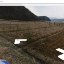 삼산면-7 이미지