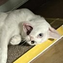 나우핏 | 심곡동 나우핏 휘트니스 2:1 PT 후기