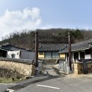 조촌3리 티스토리