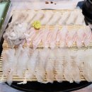 성진횟집-곤지곤지 이미지