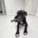 공단로-2 이미지