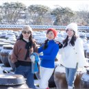 이화동산 이미지