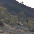 생태숲민박 이미지