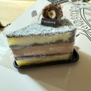 오늘일기(286)-240925