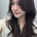 천사동물약국 | 머리 풀고 다닐 날만을 기다렸다!