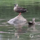 덕진천 이미지
